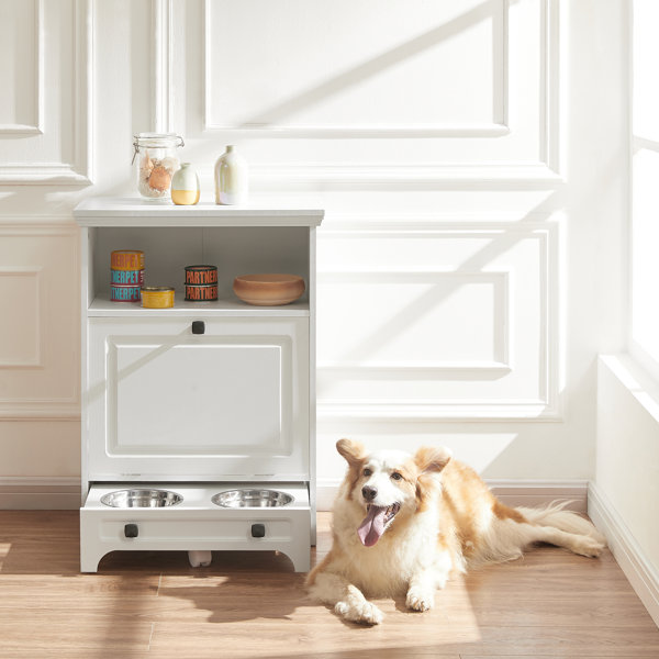 Why Raised Bowls Are Bad For Dogs at Amy Borrelli blog